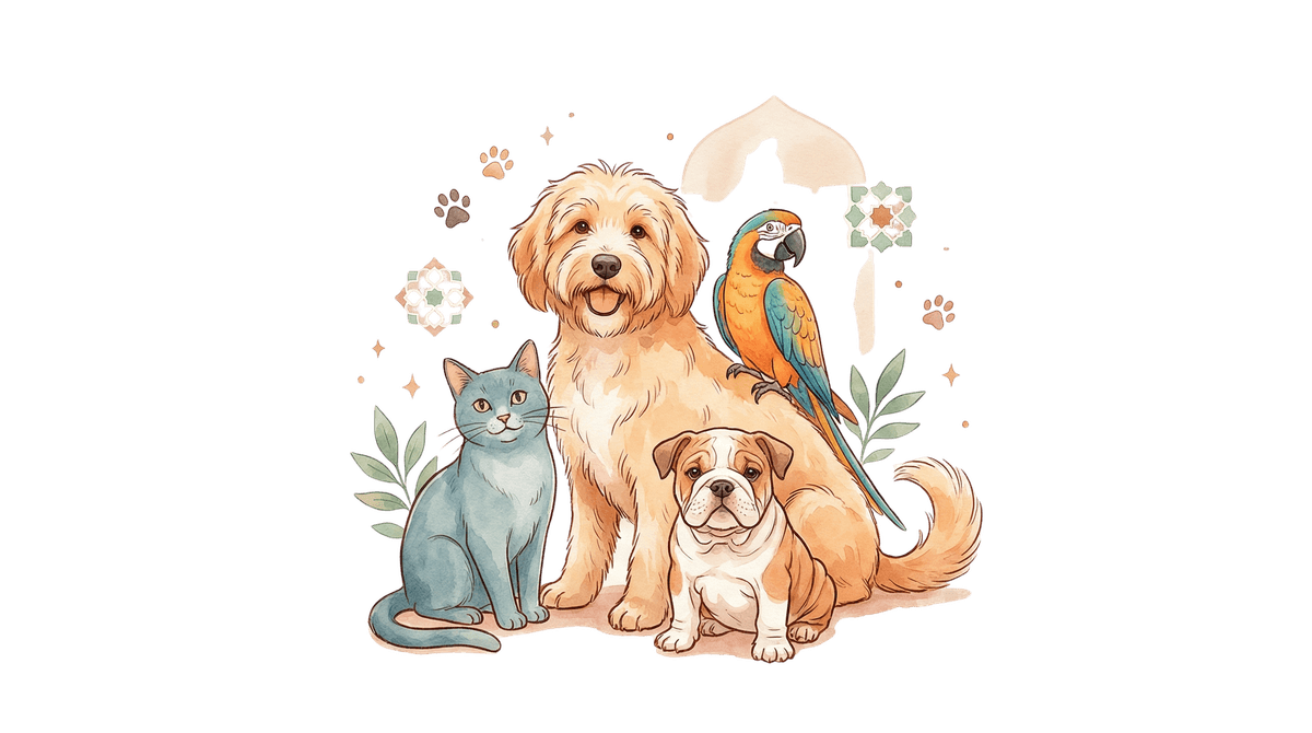 Un chat mignon vous attend pour découvrir votre personnalité